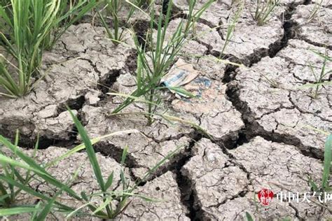 干旱——高清图片_中国灌溉在线