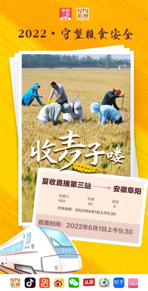 全国麦收进度过六成 进入作业高峰期_北京时间