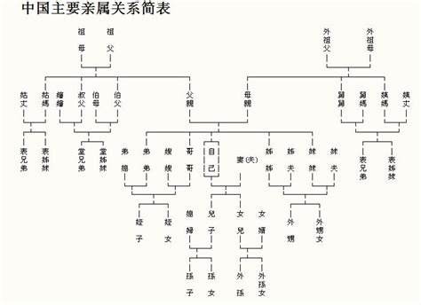 中国人亲戚关系图表 - 快懂百科