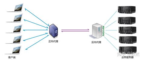 Nginx反向代理服务器配置教程(nginx反向代理配置详解) - 云服务器知识 - 渲大师