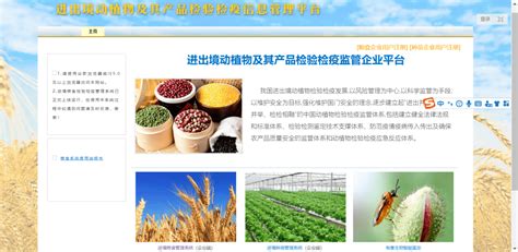 粮食流通产业发展,玉米深加工高质量发展,粮食产业发展方向(第7页)_大山谷图库