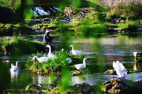 2023花溪国家城市湿地公园十里河滩景区游玩攻略,...滩是一条非常漂亮的景观带...【去哪儿攻略】