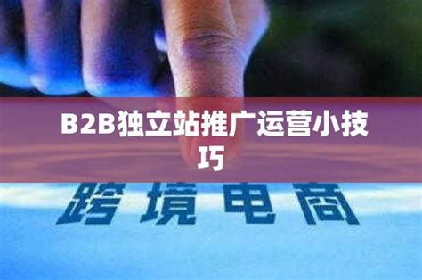 B2B独立站推广运营小技巧_石南学习网