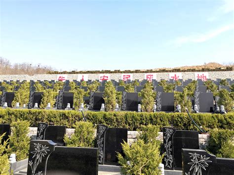 南京墓地每平方米均价已过2万元_荔枝网
