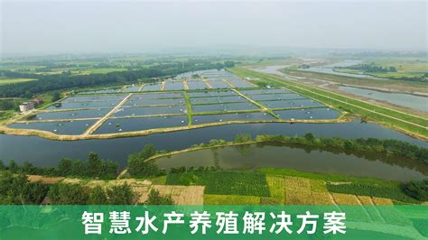 水产养殖监控系统，赋予水产养殖新模式-南京及时雨农业科技有限公司