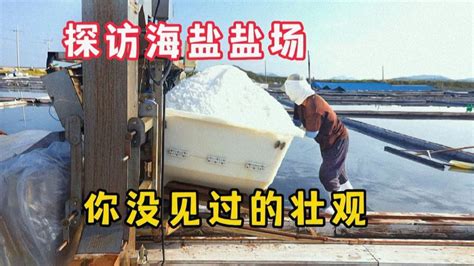 太壮观！你知道海盐是如何制作的吗？看看渔民是怎么晒海盐_腾讯视频