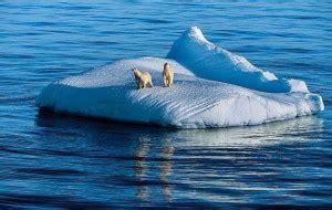 升温持续！2022全球海洋环境变化报告发布—论文—科学网