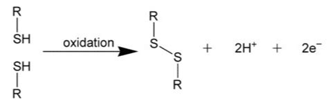 多肽二硫键链修饰所选取的氧化剂以及氧化条件是连接反应的关键因素 - 知乎