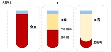 【血液学必知】血样各成分的区别（血清、血浆、抗凝剂）_检测_红细胞_样本