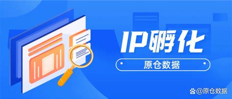 IP孵化与价值变现 - 网红经济 - 服务介绍 - 美韬传媒