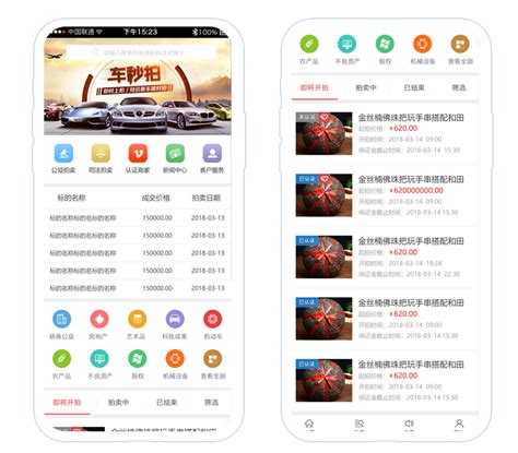 中拍网拍卖平台app下载手机版2024最新免费安装