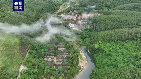 海南热带雨林国家公园核心保护区生态搬迁工作基本完成-新闻中心-南海网