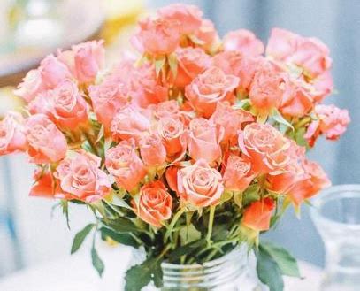 玫瑰花语之87朵玫瑰代表的意义（红玫瑰的浪漫与热情）_花植网