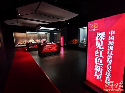 新快报-广州大学推出千米“党建红色文化长廊”