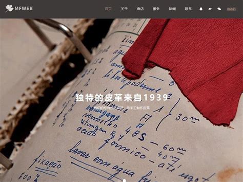 阿尔塔进口皮革手套网站设计欣赏