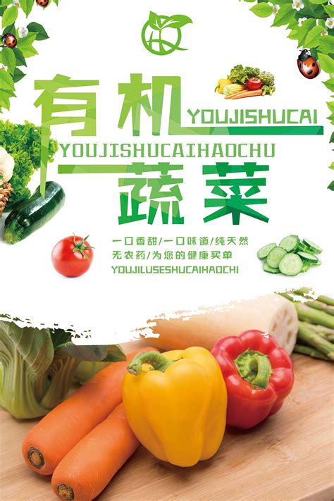 有机蔬菜海报背景宣传|平面|海报|Z17065015 - 原创作品 - 站酷 (ZCOOL)