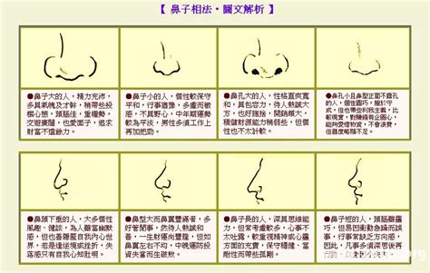 【图】鼻型分类图片展示 5大鼻形任小常识(2)_鼻型分类_伊秀美容网|yxlady.com
