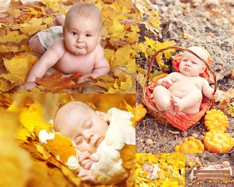 秋天枫叶与宝宝摄影高清图片 - 爱图网设计图片素材下载