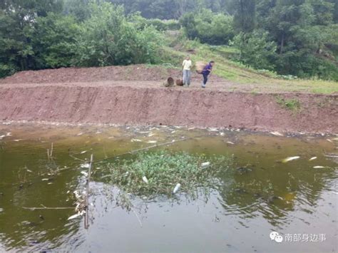 雨季鱼塘缺氧反底的护理案例分享-中国鳗鱼网