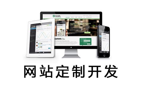本地网络公司-营销网站建设-全网优化推广 - 重庆网搜