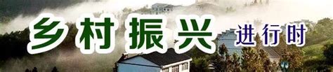 部门街镇 - 巫山县人民政府