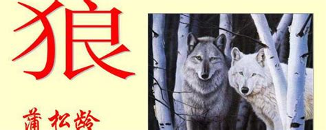 名篇赏析：当我们将《狼图腾》翻译成英文小说 Wolf Totem……|Totem|狼|草原_新浪新闻