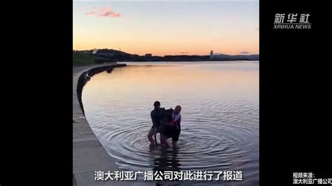 澳大利亚男子救出湖中“瑟瑟发抖”的袋鼠_凤凰网视频_凤凰网