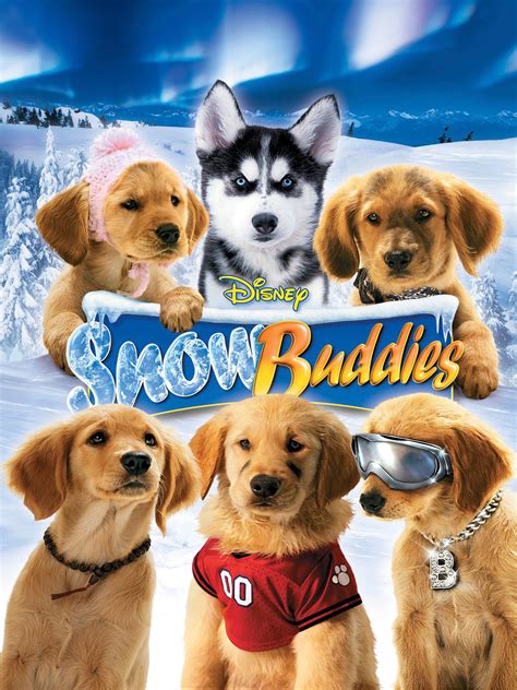 雪狗兄弟(Snow Buddies)-电影-腾讯视频