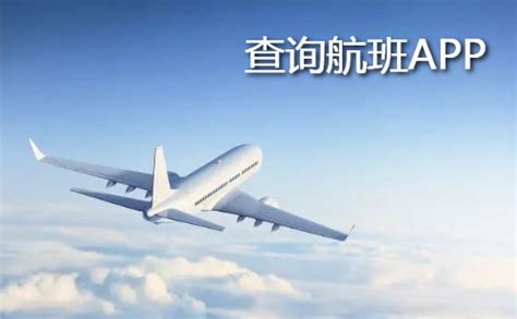 查询航班动态app哪个好_2022手机航班查询软件_乐游网