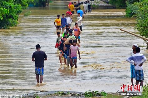 国际观察｜极端天气加剧，印度北部洪水泛滥 已至41人死亡多人失踪_凤凰网