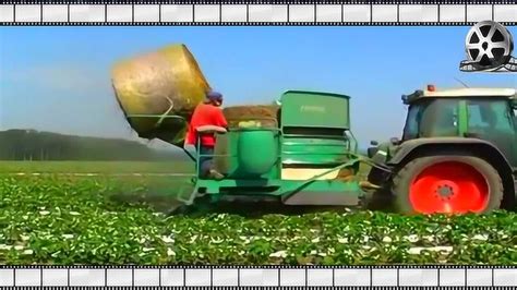 国外农业机械化生产视频合集，看的太爽了！
