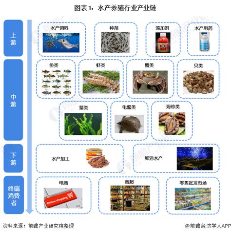 中国水产养殖行业发展现状及趋势，向绿色和智能化方向发展「图」 - 知乎