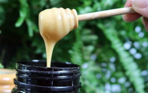 黑蜂蜜多少钱一斤？黑蜂蜜与普通蜂蜜区别？_蜂蜜