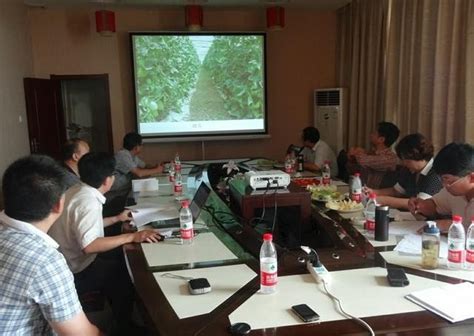 河北省蔬菜专家来青县指导设施蔬菜生产-青县新闻网-长城网站群系统