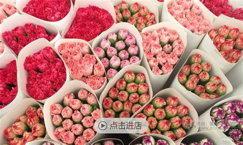 绚丽多彩鲜花店‘出炉’啦|杭州小型鲜花店装修效果图|鲜花店设计案例 - 博妍装饰
