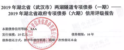 【专项债券案例】2019年湖北省（武汉市）两湖隧道专项债券_蓝海 ...