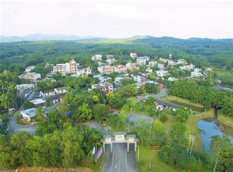 儋州市创建包含83个自然村的“中国农业公园”-儋州新闻网-南海网