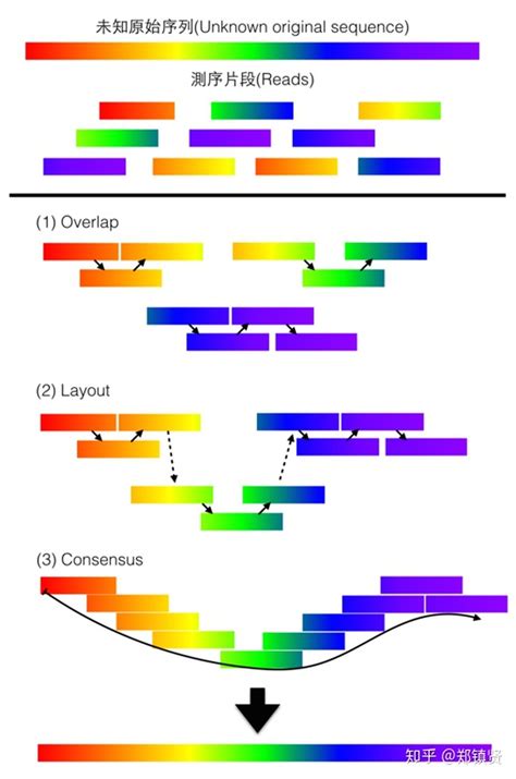 DNA基因链图片素材-正版创意图片400882283-摄图网
