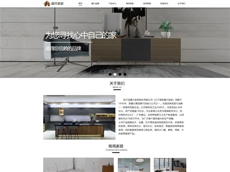 广州网站建设-创享嘉网站建设案例说明
