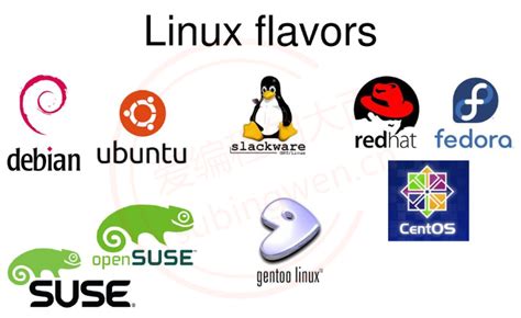 常用Linux发行版操作系统大盘点 - 知乎