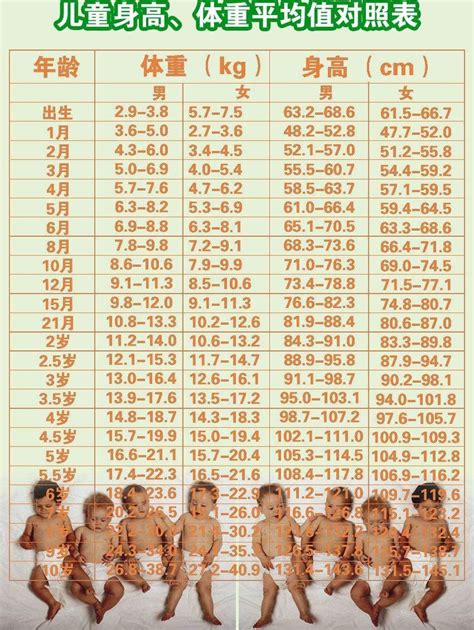 儿童身高体重标准表-0～18岁儿童青少年身高体重标准差单位数值表女