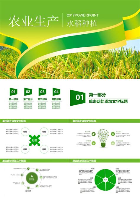 绿色农业生产水稻种植宣传PPT模板下载_宣传_图客巴巴