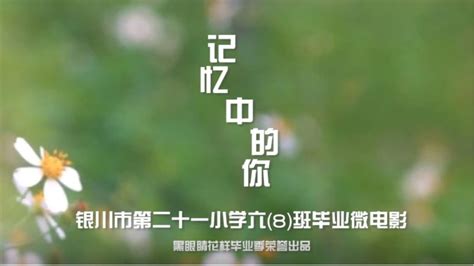 第三届“银川欢乐购物季”新闻发布会召开-银川市人民政府门户网站