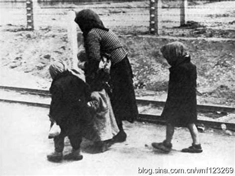 二战时，德国集中营的女人被这样对待，惨不忍睹|集中营|德国|战俘_新浪新闻