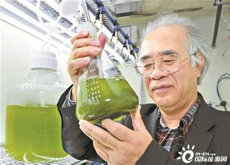 藻类生物燃料公司Viridos获得首轮2500万美元融资_新能源资讯_新能源网