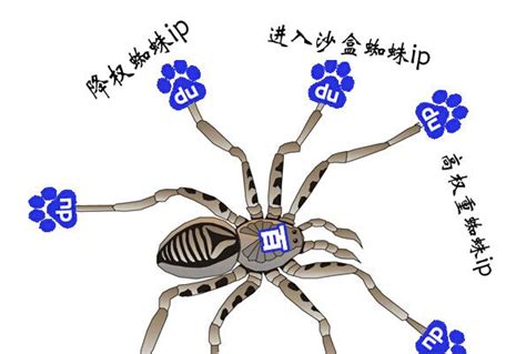 seo优化中5个引导 百度蜘蛛的方法-网站营销