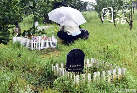 宠物殡葬：美国这片宠物墓地，充满了爱与回忆 - 知乎