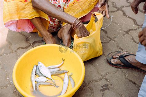 印度女人卖鱼给男人高清图片下载-正版图片504496452-摄图网