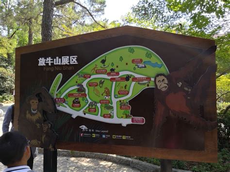 探访红山森林动物园，森林景观独特，动物资源丰富，适合亲子游玩 - 知乎