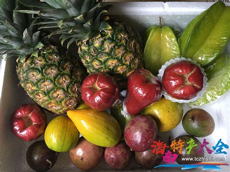 海南水果产地与品种简介 | 国际果蔬报道